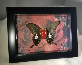 Heart of gold // One of a kind!! // shadow box