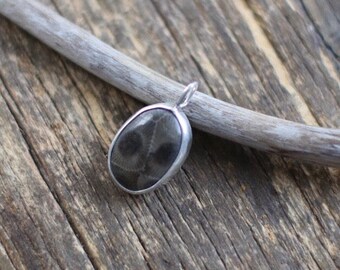 Dark Petoskey Stone Pendant