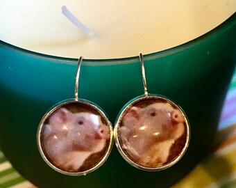 Pig cabochon earrings - 16mm