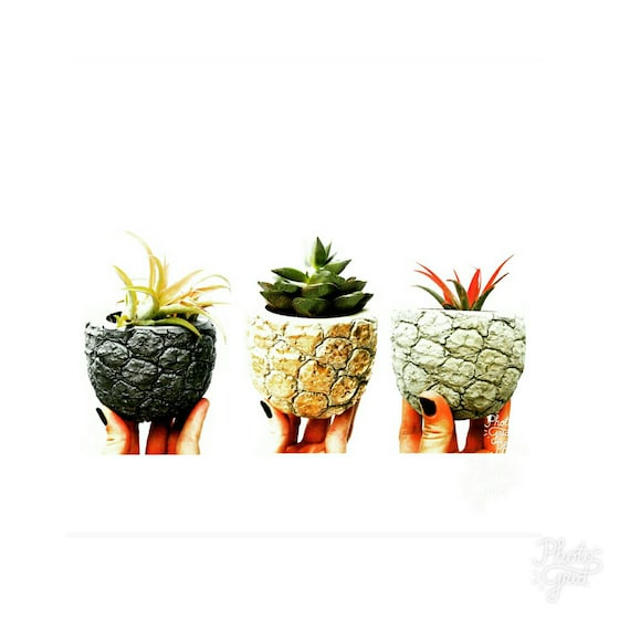 Pineapple Planter/Gold Pineapple/Pineapple Lover/Succulent Planter/Pineapple Decor/Concrete Planter/Housewarming Gift/Metallic Pineapple