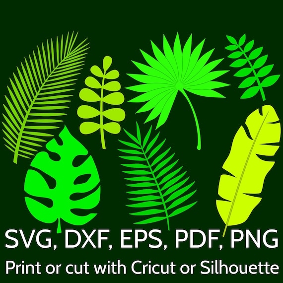 7 Jungle Tropical Leaves SVG Cut Files for Cricut