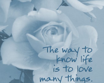 Inspirational Print Life Love Quote Inspirational Quote Single Rose Print Romantic Wall Inspirational Print Life Love Quote Inspirational Quote Single Rose Print Romantic Wall