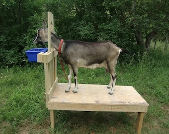 Goatstand.com, Large 48"x22" Goat Stand- Goat Milking Stanchion