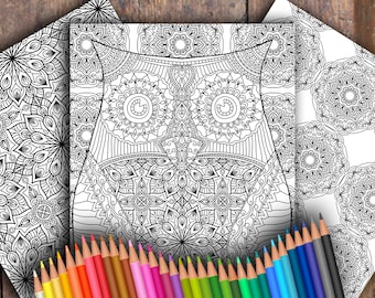 Owl Three-Page Digital Colouring Pack