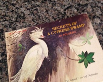 1976 Golden Book Secrets of a Cypress Swamp by Jo Polseno