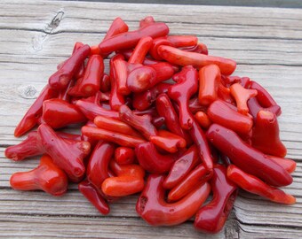 Red coral, loose coral, raw coral, rough coral, healing crystals, stones, rocks, minerals, gems, shell, pagan, shaman, wicca, wiccan, fossil