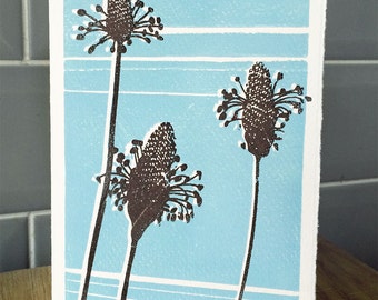 Hand printed lino card - Original print - Ribwort plant design. Thank You, Greeting & 'Just Because' cards