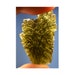 flawless Moldavite specimen from Maly Chlum in the Czech Republic