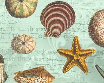 David Textiles fabric Seashells on Sage