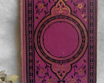 Rare Two Brothers In Arms Driou 19th, romantic Hardback, War, Purple Book, Old Book, Literature, Author, France, Vintage, Army, Militaria