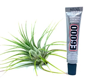 E6000 Tillandsia Glue // Air Plant Adhesive // .18oz // Hello Tilly Airplant
