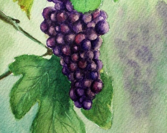 Purple Grapes On a Vine - 5x7 Original Watercolor Painting - Kitchen wall art