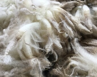 Sequel: 2018 Purebred Romney lamb - Raw Fleece