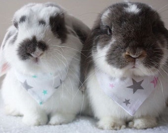 Stars bandana or bow for bunny rabbits, guinea pigs, small pets - grey and mint jade or pink stars