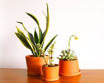 Terracotta mini planters - B set - Set of 3