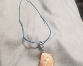 She sells sea shells