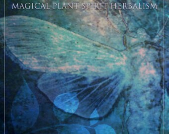 THE WILD WITCH; a course in magical plant spirit herbalism