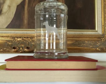 1950's Schnauzer Glass Apothecary Jar for Fancy Bone Storage