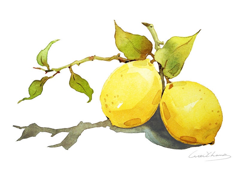 Lemon Painting Watercolor Lemon 5 by 7 print Watercolor