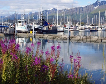 Alaskan Seaport and Fireweed