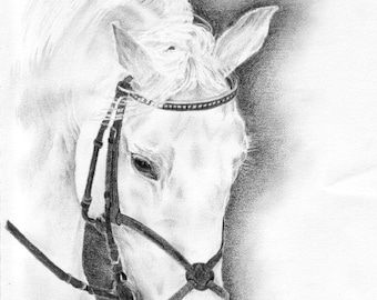 Horse portrait-Original-Graphite pencil drawing-Horse drawing-Horse art-Horse decor