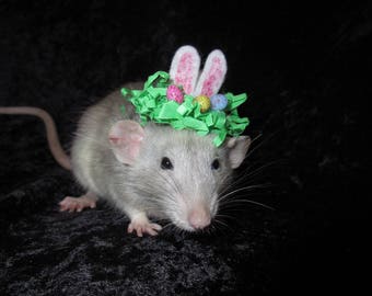 Easter Cottontail Rat Hat