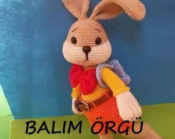 Bunny Goes to School-Amigurumi Crochet Pattern PDF