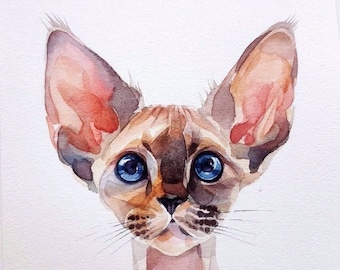 Watercolor art, original Aquarelle, cat Sphinx.