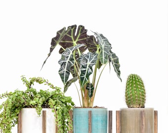 Mid Century Modern Plant Stand with Pot, Indoor Plant Stand with Pot, Mid Century Modern