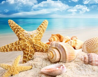 Bright Sunny Shells Cross Stitch Pattern