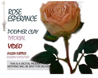rose Esperance video tutorial