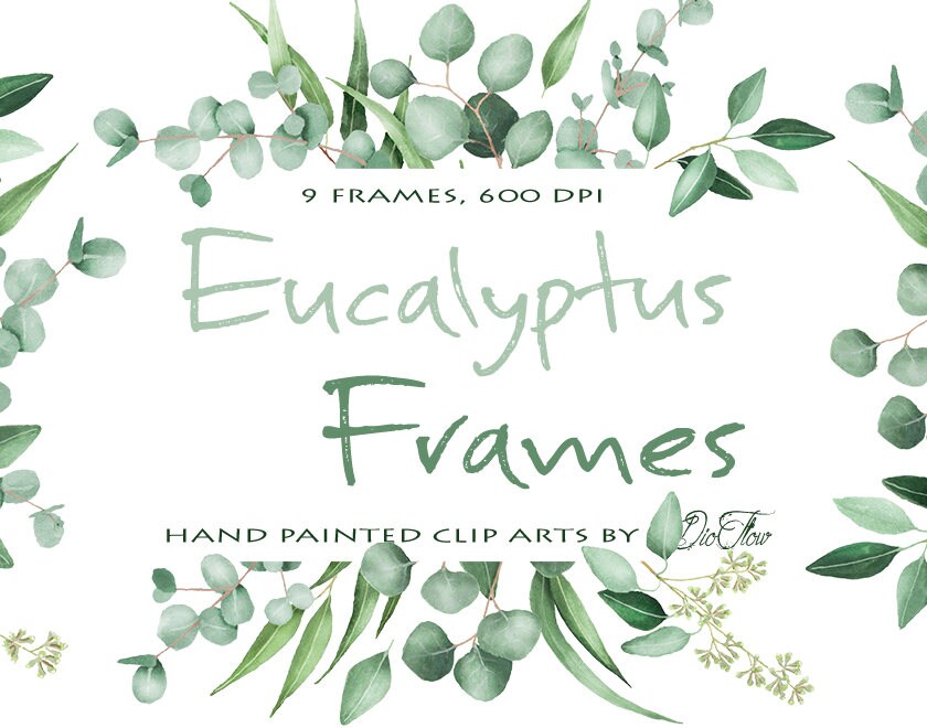 Watercolor Eucalyptus Clipart Frame Greenery Frames Clip Art