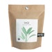 Sage Garden-in-a-Bag – Self Contained Grow Kit – Eco Friendly – Hostess Gift – Party Favors – Mothers Day – Kitchen Herb - Indoor Garden