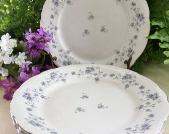 4 DINNER PLATES - Blue Garland by Johann Haviland - Bavaria Germany - Blue Floral - Platinum Trim c1970's