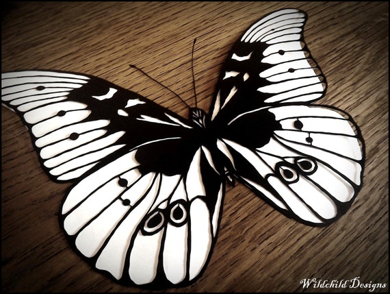Blue Morpho Butterfly Paper Cutting Template Personal Use Vinyl SVG JPEG Angel Wildchild Designs Blue Morpho Butterfly Paper Cutting Template Personal Use Vinyl SVG JPEG Angel Wildchild Designs
