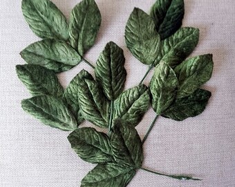 Velvet leaves, dark olive green