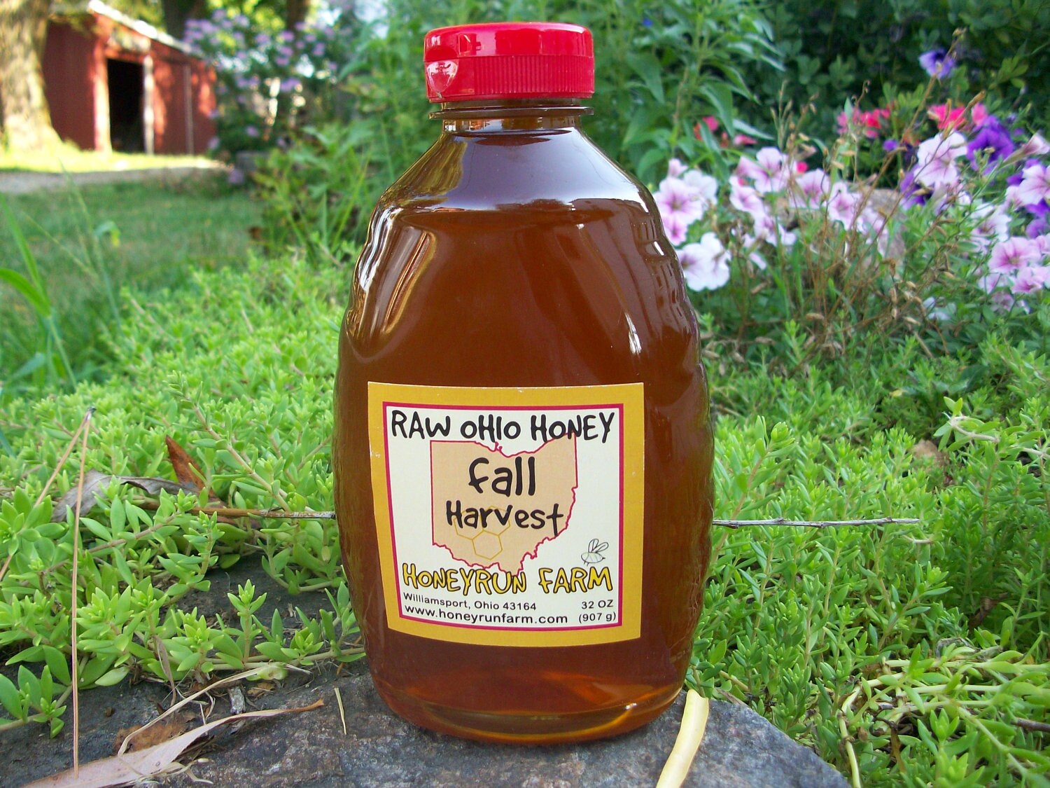 Pure Raw Ohio Fall Honey 32 ounce jar