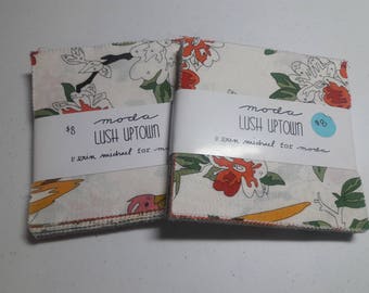Moda Erin Gregory Lush Uptown- 2 charm packs