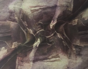 Photo etching, square, multiple color, botanical, abstract, "Paperbark I"