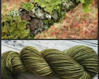 Hand Dyed Yarn, Superwash Merino Worsted Weight Tonal Yarn Perfect for Hats, Cowls, Scarves and Sweaters - Lichen
