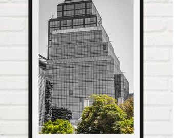 Urban glass building and trees
