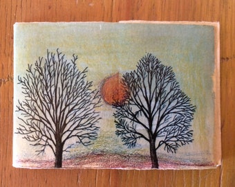 The book of funghi, miniature book, collage and drawing