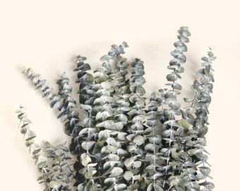 Dried olive green Eucalyptus, Preserved Eucalyptus, Wedding DIY garland, Eucalyptus wedding decor, Dried leaves, eucalyptus frosted bunch