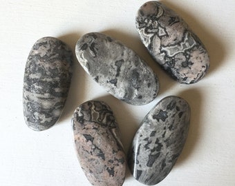 35 x 18mm Black Picture Stone Oval Stones