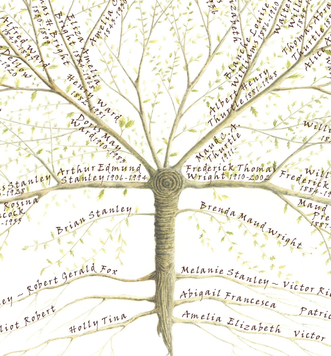 Sierra Generations Family Tree Download For Free Sierra Generations Family Tree Download For Free