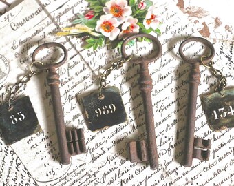 One old rusty key with number badge