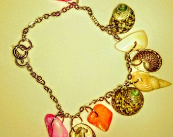 Seashell Short Crowd