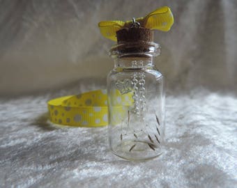 Egrets dandelion vial necklace, dandelion seeds necklace