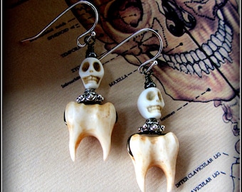 Teeth Earrings ~ Human Molars w/ Skulls ~ Creepy Oddities carved from bone ~ macabre taxidermy jewelry cabinet of curiosities dentist goth