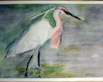 watercolor an egret, bird